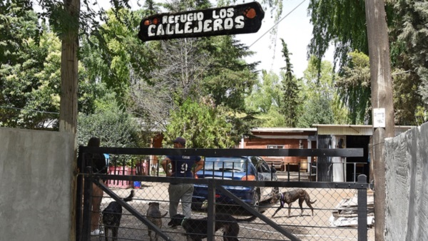 Salvar vidas. El Refugio cuida hoy a 55 animales y organizó un sorteo para saldar los gastos veterinarios.