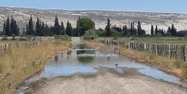 Aun teniendo un alto caudal, existen productores locales que no reciben el agua que le corresponde.