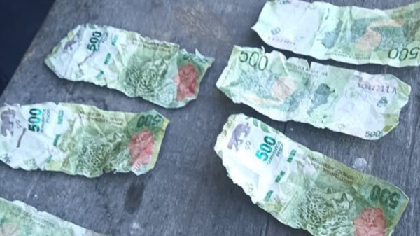 Los billetes  incautados eran siete de 500 pesos sin número de serie.