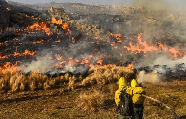 Corrientes: la sequía propició que los incendios pongan en riesgo la biodiversidad del Iberá.