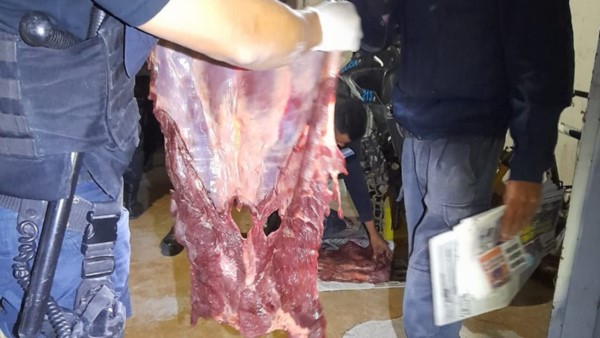 El secuestro de la carne se efectuó en el acceso norte de Dolavon.