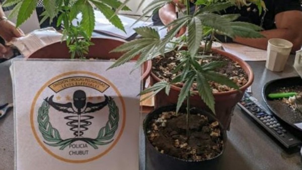 La droga fue encontrada en uno de los tres allanamientos realizados.