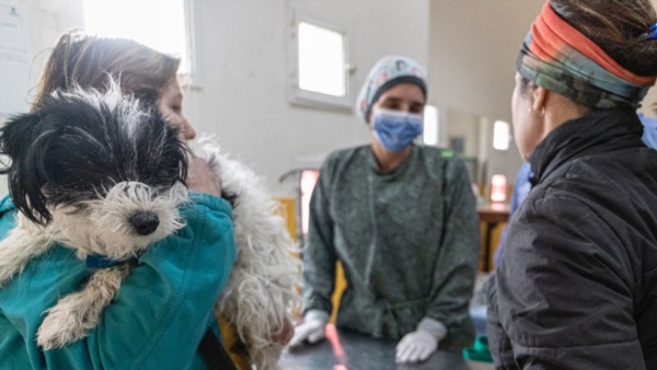 Abrazo. Una postal del operativo que se realizó y que sigue hoy con las mascotas de los vecinos sureños.