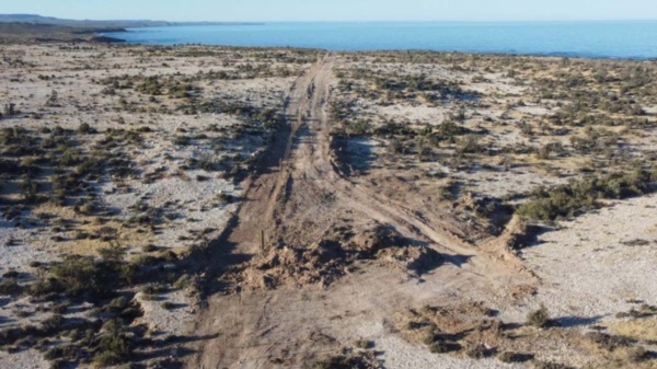 La fiscal de Rawson, Florencia Gómez informó sobre los destrozos a las colonias de pinqguinos en Tombo.