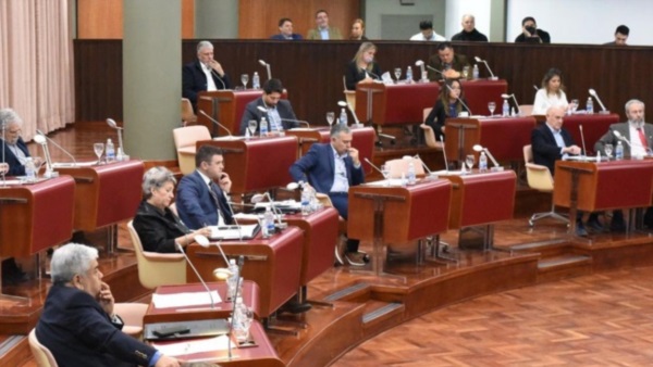 Discusiones. La sesión incluyó temas sensibles como la política sobre un Área Protegida y la transferencia de bosque implantado para Puelo. 