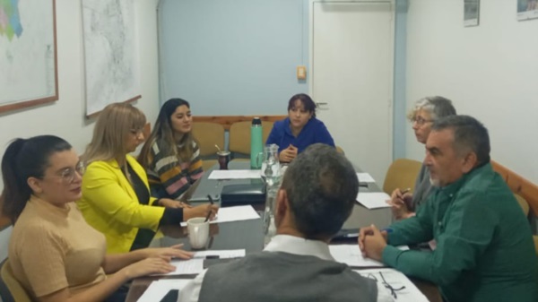 Comisión. La reunión de los ediles analizando la iniciativa en Trelew.