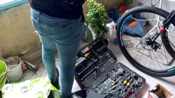 La incautación de los elementos se produjeron en dos allanaientos.