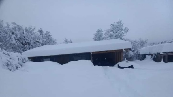 Imagen de la zona rural de Esquel totalmente cubierta por la nieve.