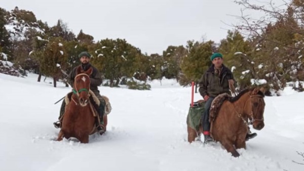 Pobladores del Parque Nacional Los Alerces campeando el temporal.