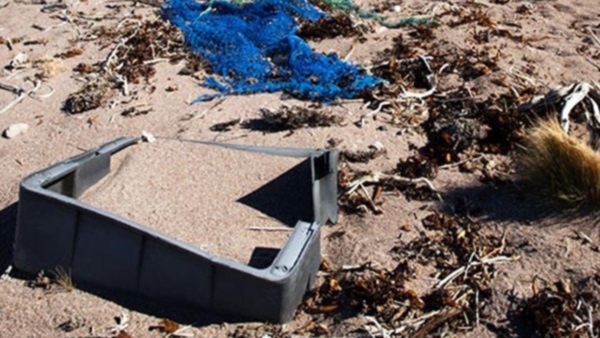 Cada vez es mayor la aparición de cajones de pesca en distintas playas de Puerto Madryn y Península Valdés.