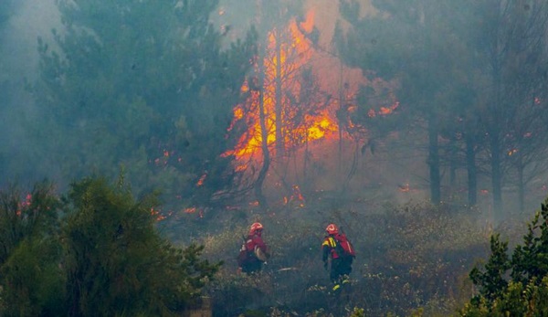 Llamas. Todos los veranos el fuego es protagonista en Chubut, que con los años logró ajustar sus mecanismos institucionales para actuar.