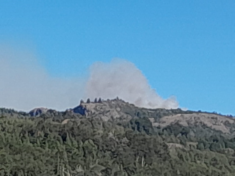 Tras el foco ígneo se activaron inmediatamente todos los protocolos.
