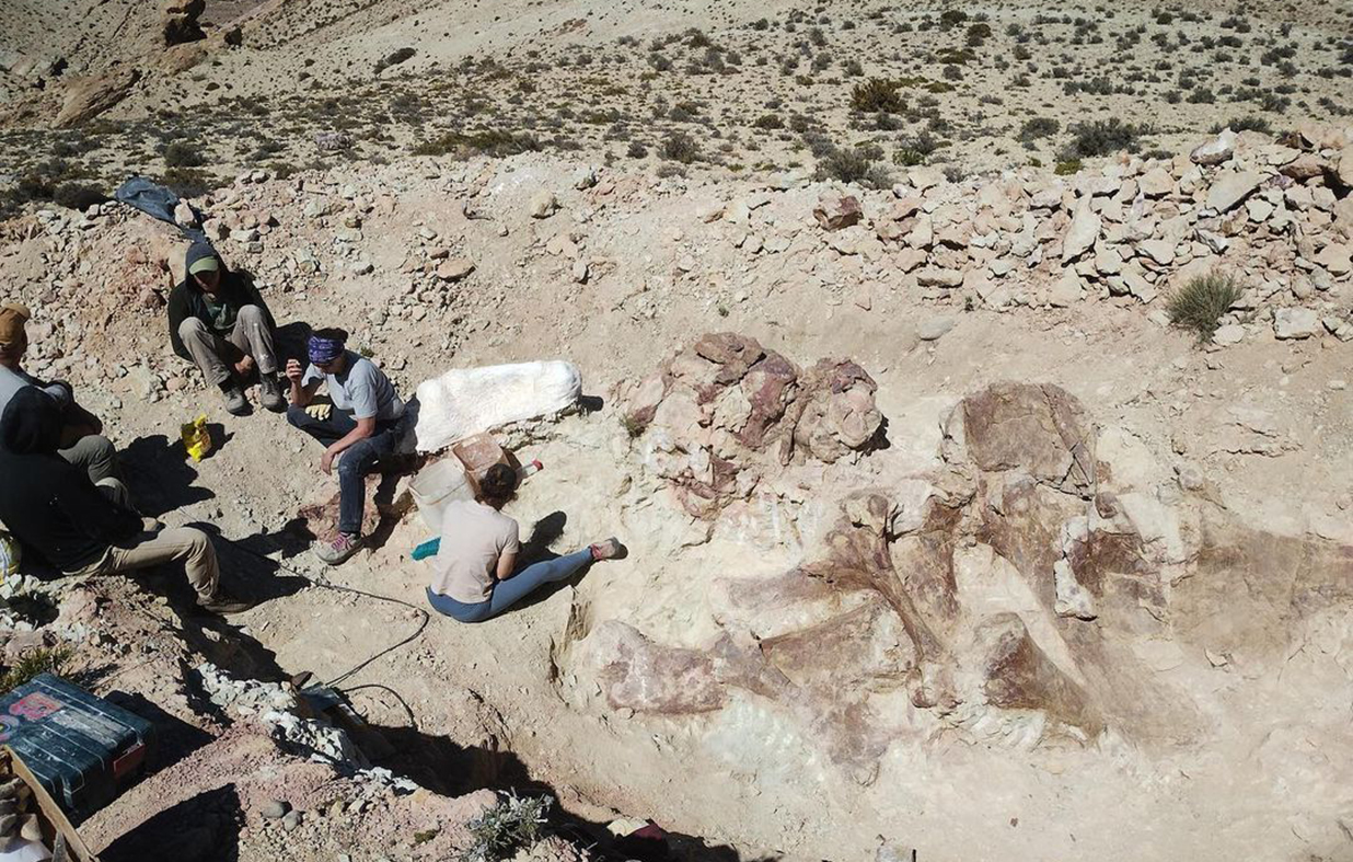Esta campaña paleontológica formó parte de un proyecto de investigación del Jurásico Superior en Chubut.