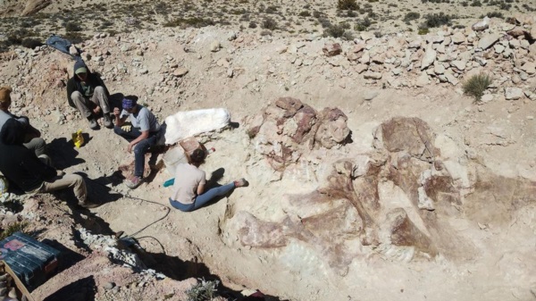 Esta campaña paleontológica formó parte de un proyecto de investigación del Jurásico Superior en Chubut.