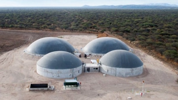 De la energía renovable que se produce en el país, 75% es eólica, 20% solar y 5% biomasa.