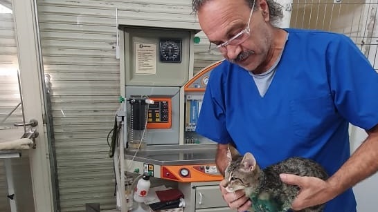 Veterinario Jorge Ferruz.