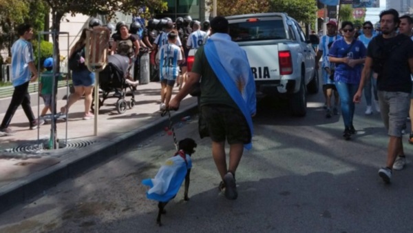 La bandera argentina y el perro, fiel compañero durante el Mundial