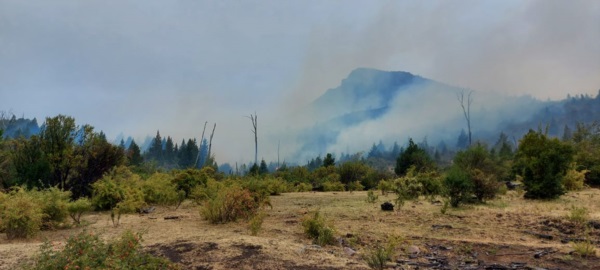 Intentaban controlar el incendio desatado en Epuyén