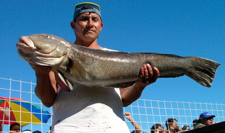 Foto SerArgentino.com