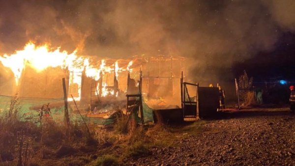 Foto gentileza Bomberos Voluntarios El Hoyo