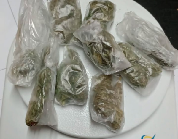 Listo para vender. Una postal del hallazgo de cannabis en Esquel, aparentemente para comercializar.