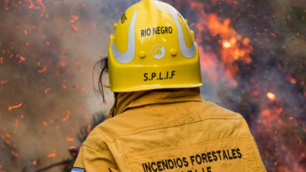 Foto Prensa del SPLIF.