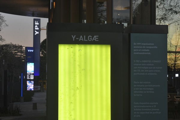 YPF se sumó a esta iniciativa al instalar un "árbol líquido" en una estación de servicio.