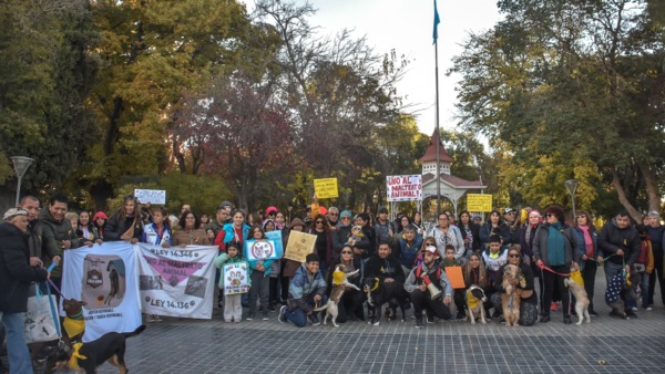 Familias enteras se convocaron para pedir justicia por sus mascotas. Foto: Sergio Esparza