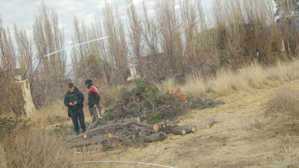 El momento en que la Policía sorprende a una de las personas talando árboles en una chacra