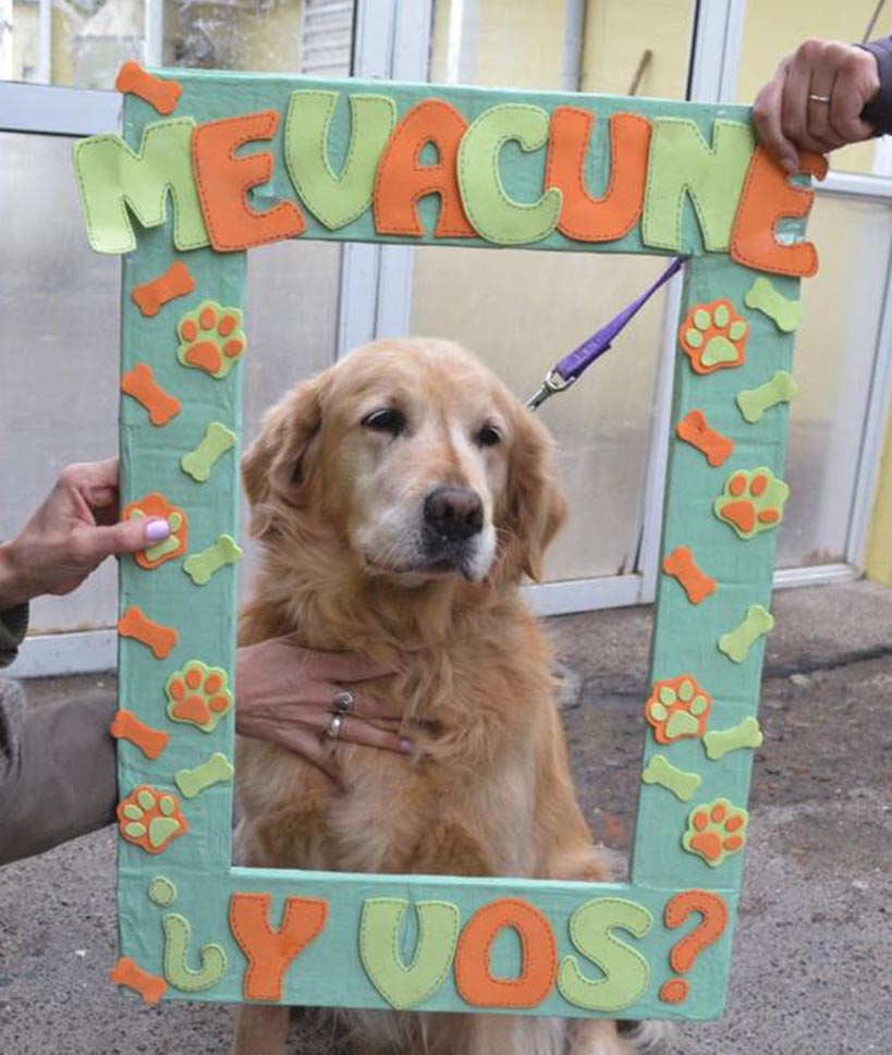 Posteridad. Una de las mascotas que cumplió con su cronograma.