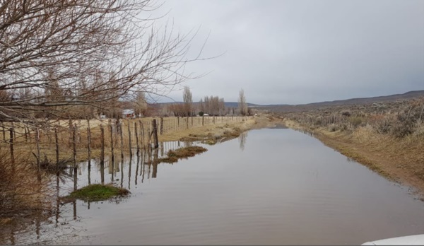 El río Lepá desbordó y el agua se acercó peligrosamente a las casas.