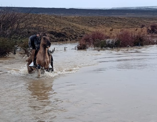 Un poblador intenta cruzar el río a caballo en medio de la inundación.