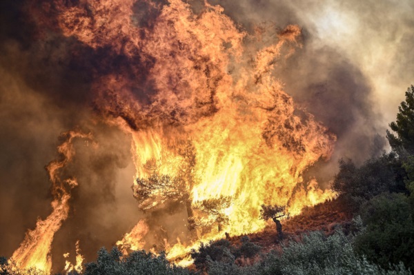Incendio forestal cerca de Prodromos, a 100 km al noreste de Atenas.